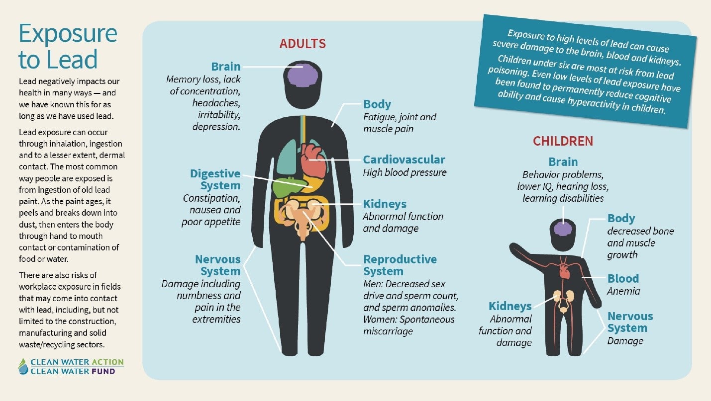 Exposure to Lead Infographic