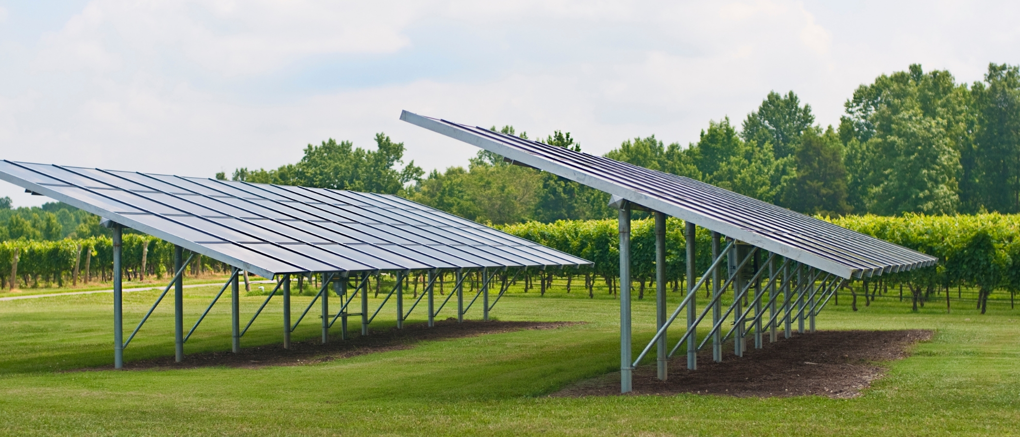 solar panels in grassy field