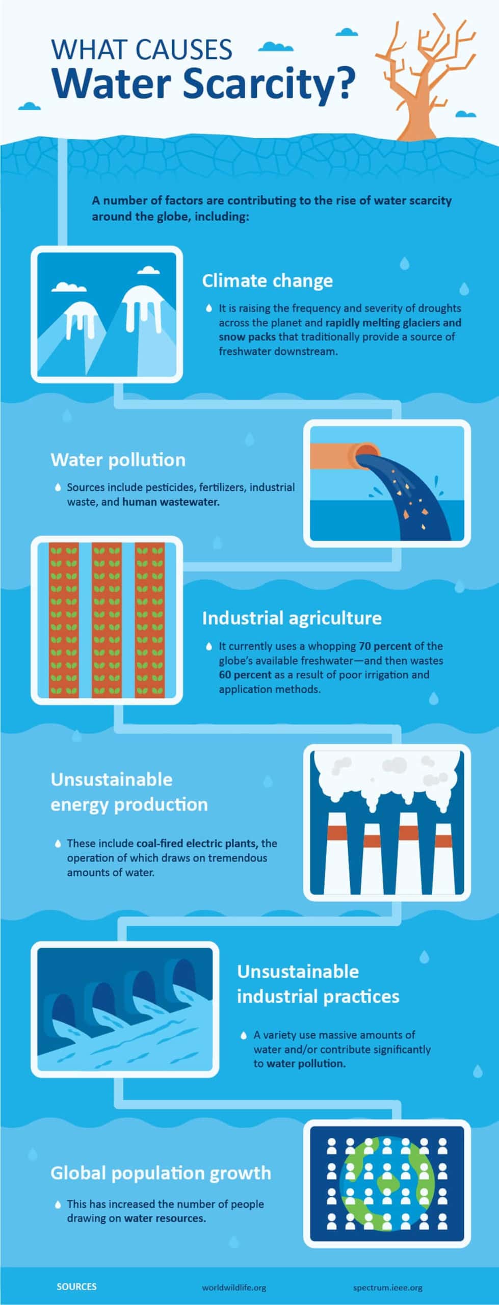 What causes water scarcity infographic