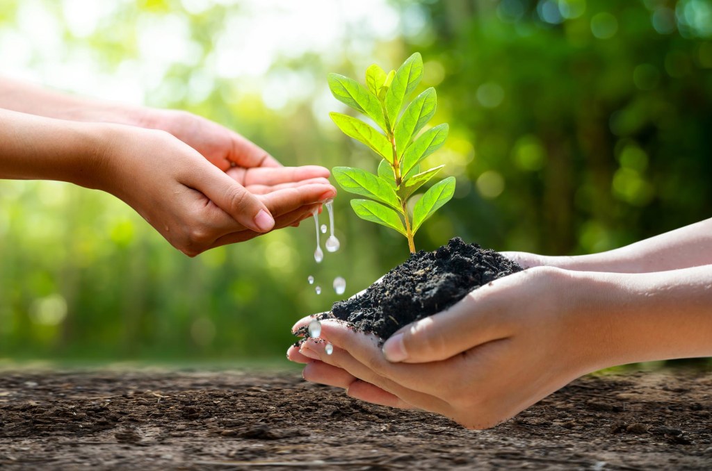 Hands pouring water outside green background