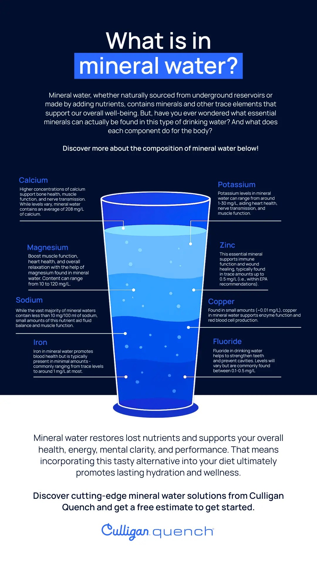 Infographic showing what is in mineral water