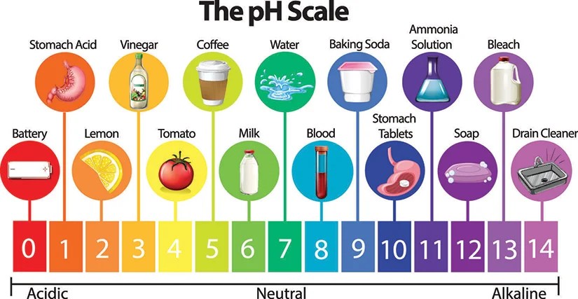 The pH Scale infographic