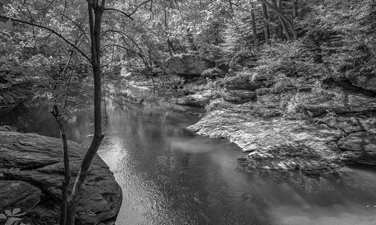 black and white river with trees around it