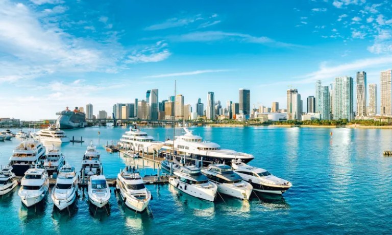 Miami skyline and water