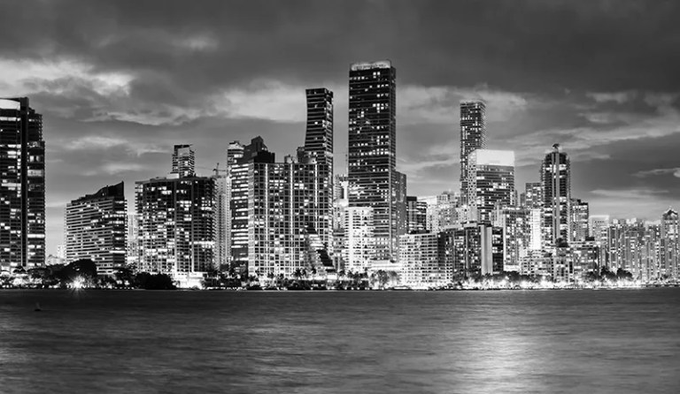 black and white Miami skyline