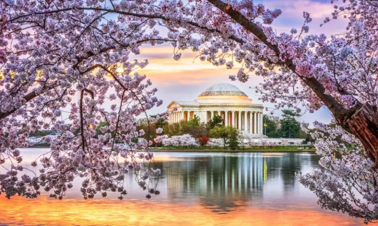washington dc now